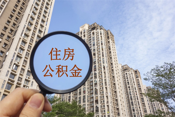 桂阳怎么取住房住房公积金（取住房公积金方法）